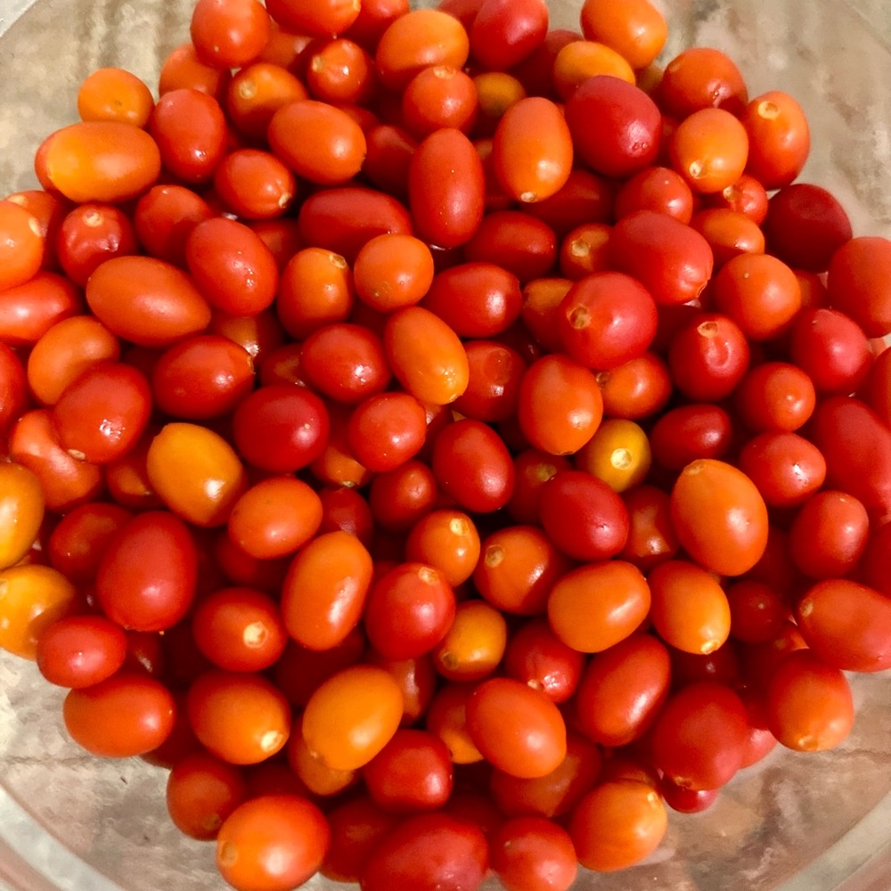 50 Seeds Chiltepin Birds Eye Bird Pepper Wild Chili Heirloom Pepper Seeds - Picture 8 of 8